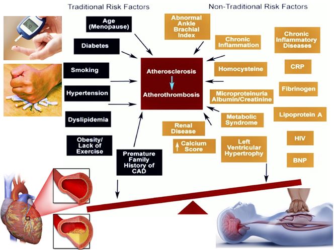 A prospective observational study to assess the cardiac risk factors and treatment patterns in established heart diseases 