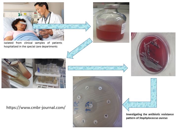 Investigating the antibiotic resistance pattern of Staphylococcus aureus isolated from clinical samples of patients hospitalized in the special care departments of Ahvaz teaching hospitals 