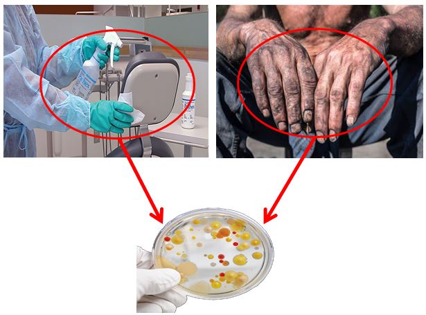 Screening for some virulent factors among bacterial isolates from surfaces of hospital fomites and hands of healthcare workers 
